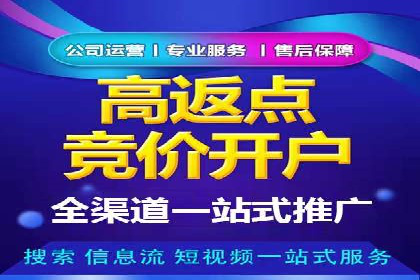 网络推广竞价实战案例分析集
