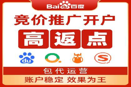 成功背后的力量：SEM推广代运营公司的故事